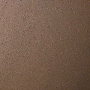 Meet your Posher, Cody